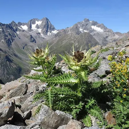 Appartement Plattner Inklusive Sommercard