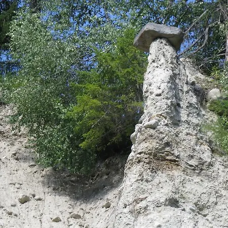 Plattner Inklusive Sommercard