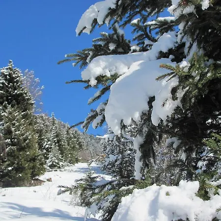 Appartement Plattner Inklusive Sommercard Jerzens