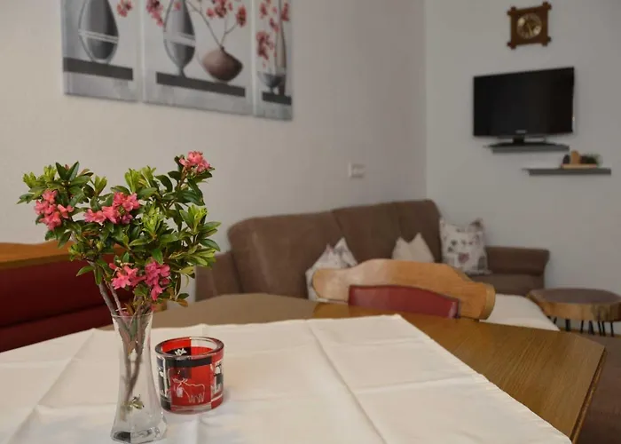 Plattner Inklusive Sommercard Apartment *