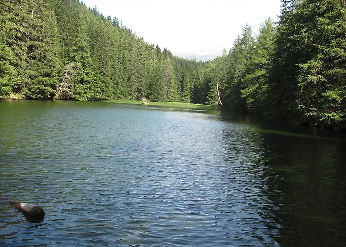 Apartamento Plattner Inklusive Sommercard Jerzens