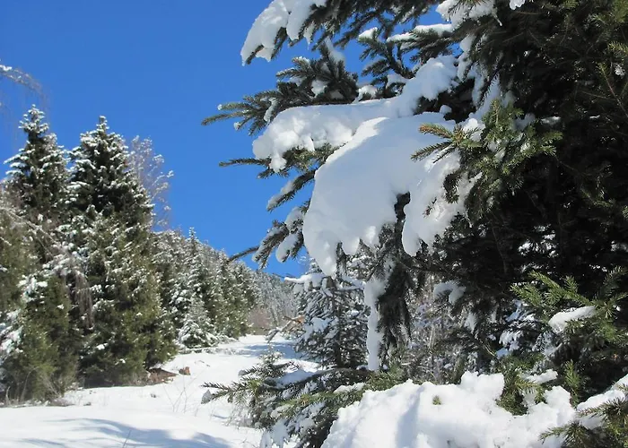 Apartment Plattner Inklusive Sommercard Jerzens