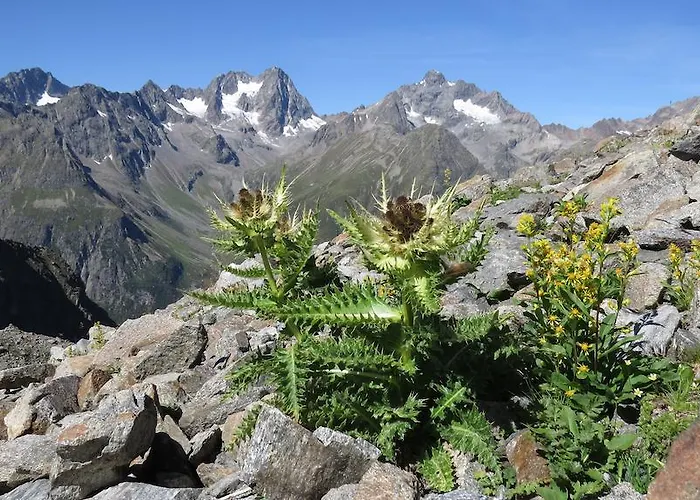 Διαμέρισμα Plattner Inklusive Sommercard