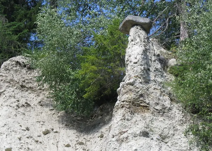 Plattner Inklusive Sommercard